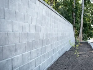 Tall grey retaining wall extending along a wooded edge.